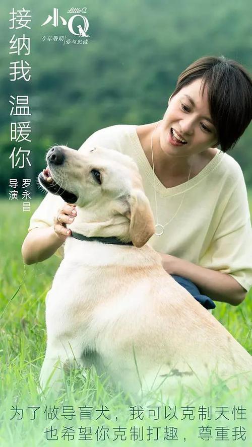 学信网查高中毕业证